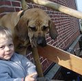 Maerz-April 2009 004